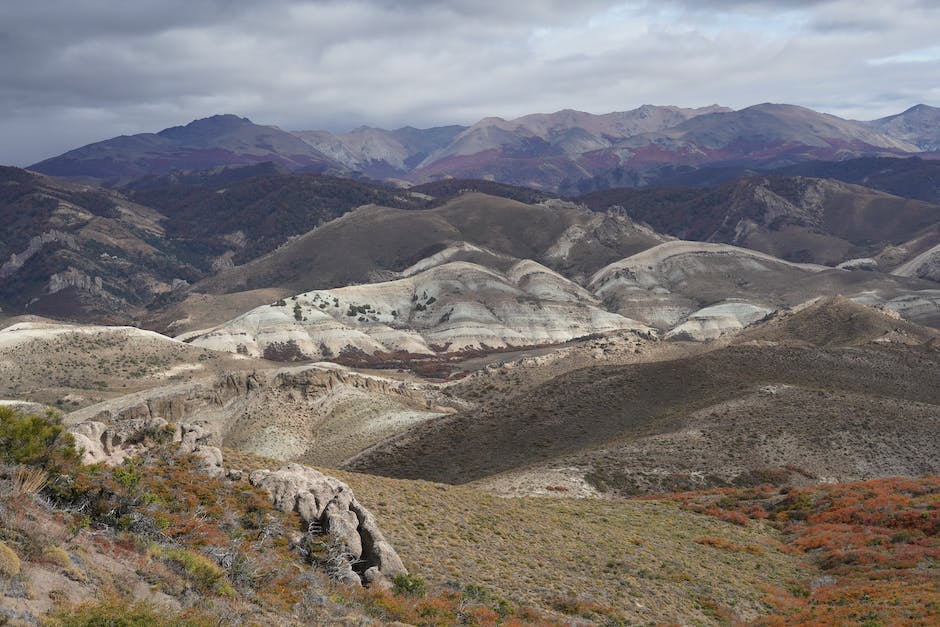 Descubre el mejor momento para visitar el Oceanogràfic con menos afluencia de turistas. Descubre el mejor momento para visitar el Oceanogràfic con menos afluencia de turistas.